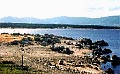 Embalse de Valmayor