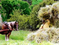 El concejo oma��s es uno de los aspectos m�s interesantes de la comarca. 