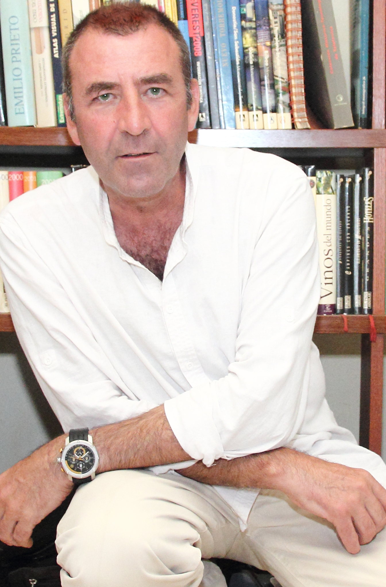 Luis Medina García - Periodista