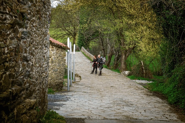 Camino de Santiago