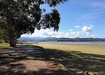 Camping Playa Regatón