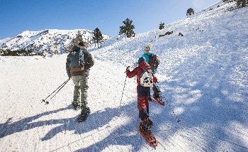 Pirineo Francés