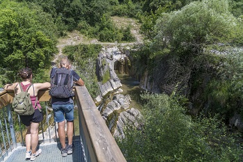 Ruta del Txakoli