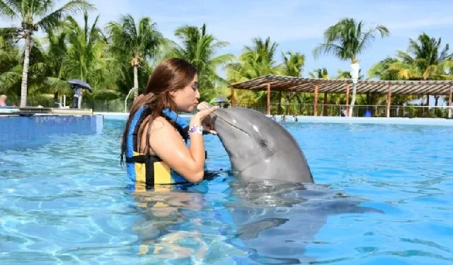 Delfines en Dolphin Discovery Playa del Carmen!