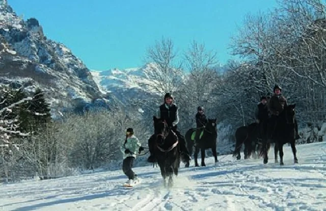 Ski-joëring en Beille