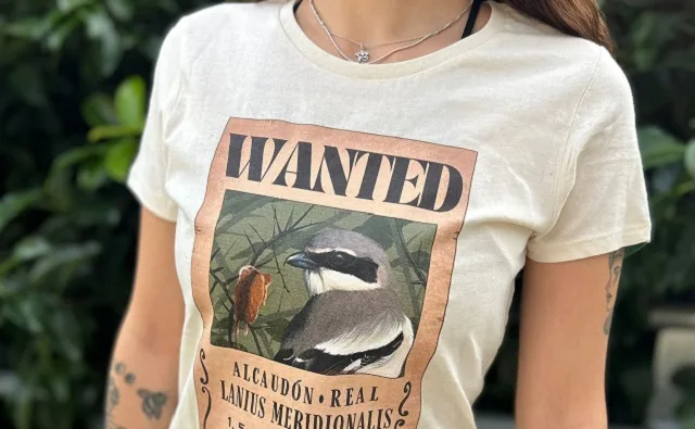 Camisetas personalizadas