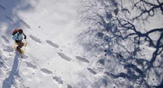 Contenidos “Me las Piri”